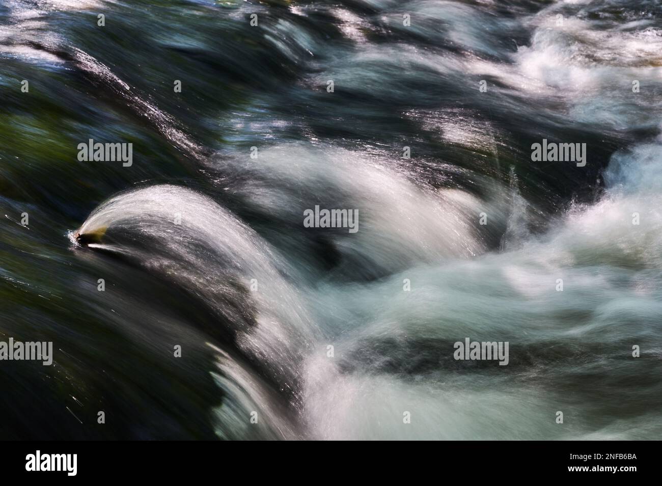 Felsschwellen am Tanew River, die durch Roztocze fließen Stockfoto