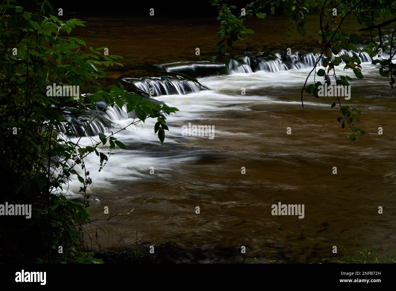 Felsschwellen am Tanew River, die durch Roztocze fließen Stockfoto