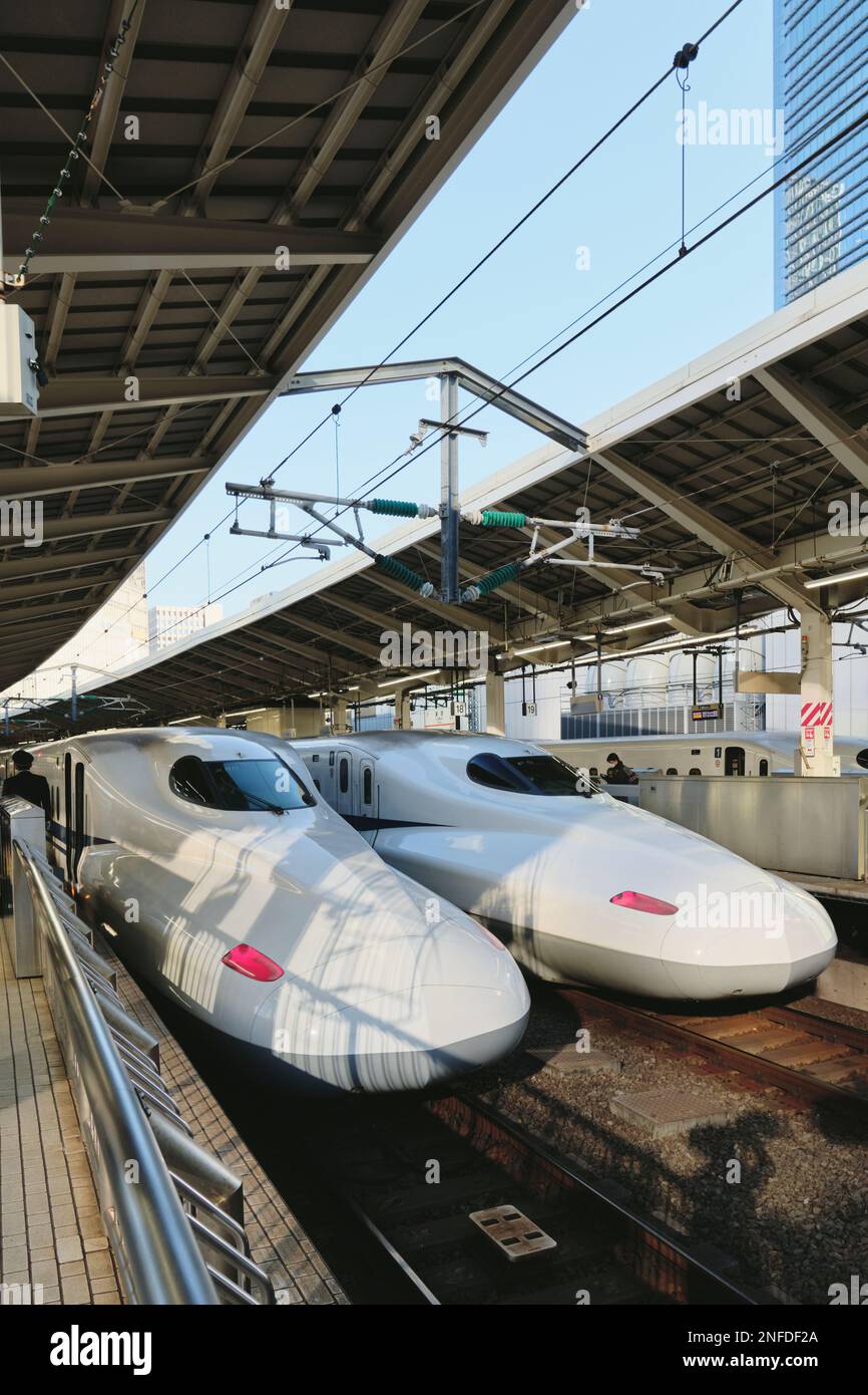 Zwei Hochgeschwindigkeitszüge (shinkansen) parken am Bahnhof Tokio in