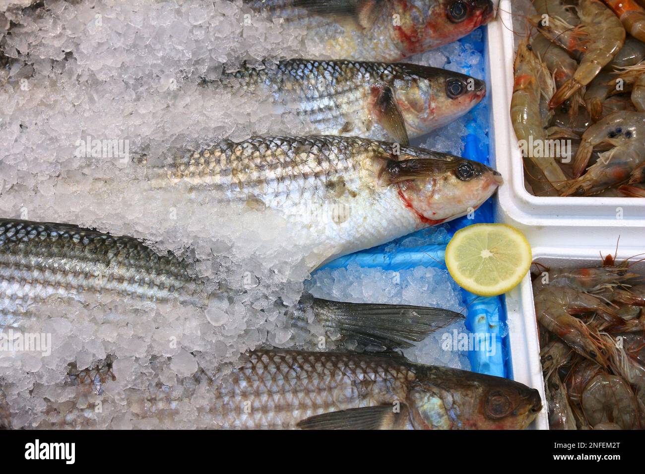 Meeräschen - frischen Fisch Einkaufen an einem Markt in Leeds, UK. Stockfoto