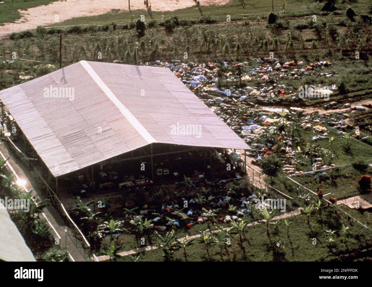 An aerial shot of the mass suicide of the religious cult, The ..., حجم الصورة 1300x1004
