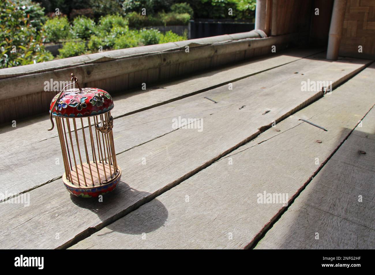 chinesischer Kricketkäfig im Garten (frankreich) Stockfoto