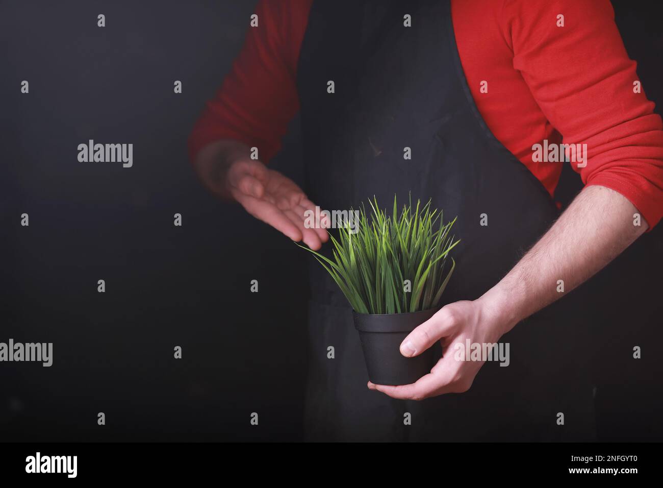 Ein junger Gärtner kümmert sich um Sämlinge und schneidet Blumen