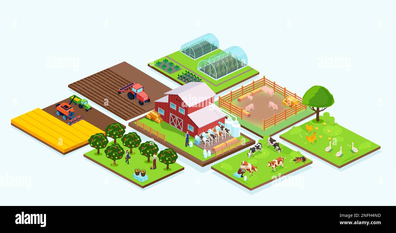 Isometrischer Vektor eines landwirtschaftlichen Bauernhofs, einer Scheune, eines Obstgartens, einer Getreideernte, von Tieren und Bauern Stock Vektor
