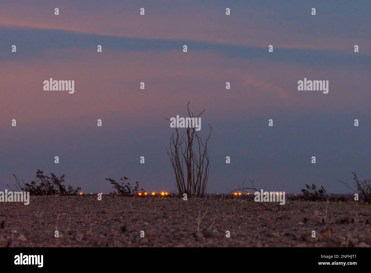 Ocotillo Mondaufgang Stockfoto