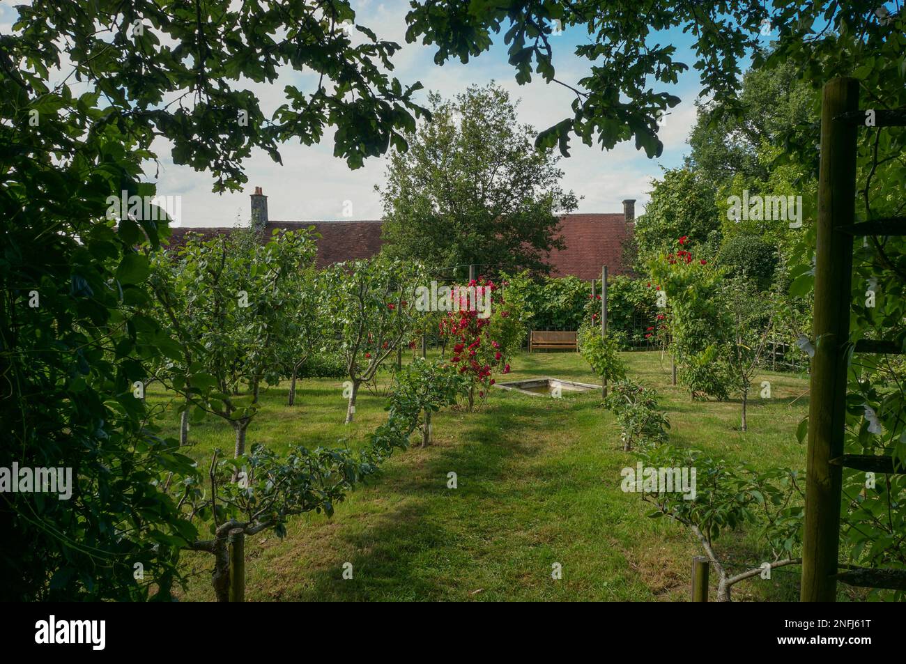 Junger Obstgarten auf einem französischen Bauernhof Stockfoto