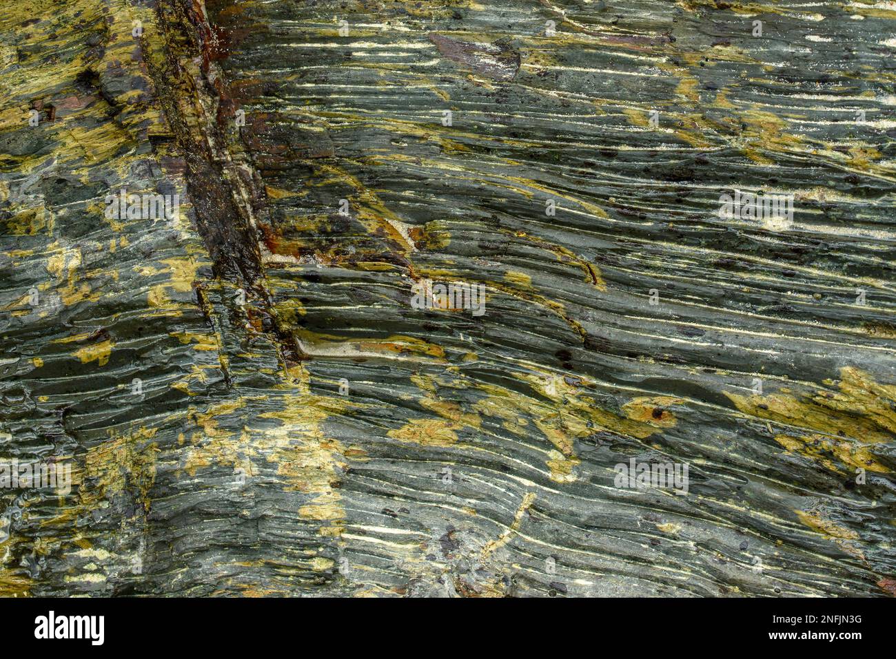 Diese Nahaufnahme von Felsen zeigt die raue, natürliche Schönheit der geologischen Formationen. Die rauen Oberflächen und Strukturen der Felsen sind Promi Stockfoto