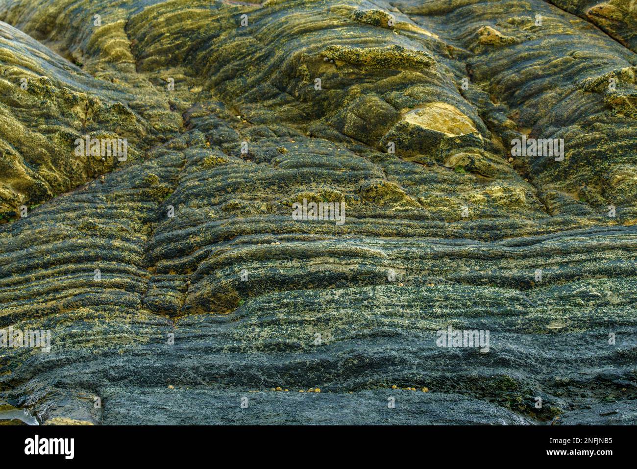 Diese Nahaufnahme von Felsen zeigt die raue, natürliche Schönheit der geologischen Formationen. Die rauen Oberflächen und Strukturen der Felsen sind Promi Stockfoto
