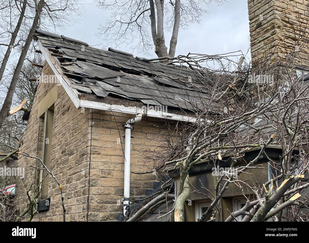 Die Szene auf der Endcliffe Vale Road, Sheffield, wo ein Mann in seinen 50s Jahren nach dem Fall eines Baumes verletzt wurde und ein Grundstück in der Nähe ebenfalls durch den Sturm Otto beschädigt wurde. Der Sturm, der in diesem Winter als erster benannt wurde, wurde vom Dänischen Institut für Meteorologie (DMI) als Otto bezeichnet und dürfte Reisenden in den nördlichen Gebieten des Vereinigten Königreichs zu Störungen führen. Foto: Freitag, 17. Februar 2023. Stockfoto