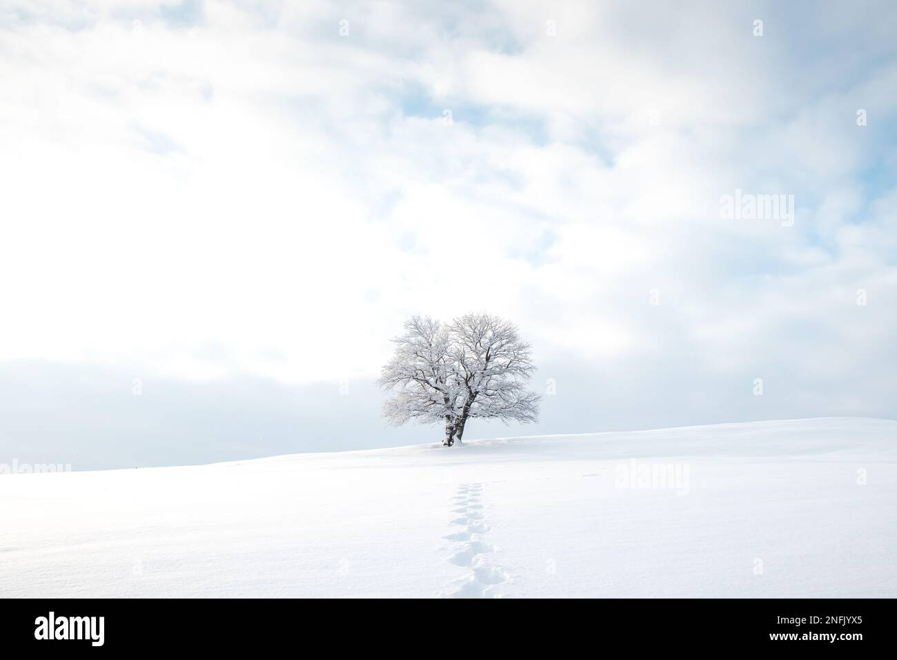 Ein historisches Wahrzeichen, bedeckt mit Schnee und einem sauberen, unberührten Schneefeld mit den Fußabdrücken des Entdeckers. Minimalismus in der Natur. Weiches Licht. Kozlovic Stockfoto