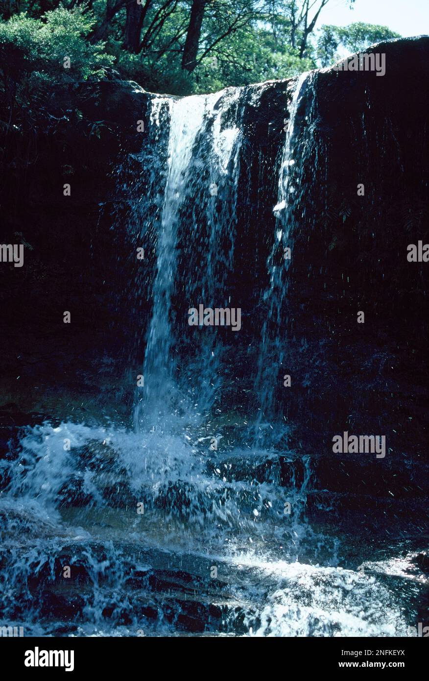 Australien. New South Wales. Blue Mountains-Nationalpark. Weeping Rock Wasserfall. Stockfoto