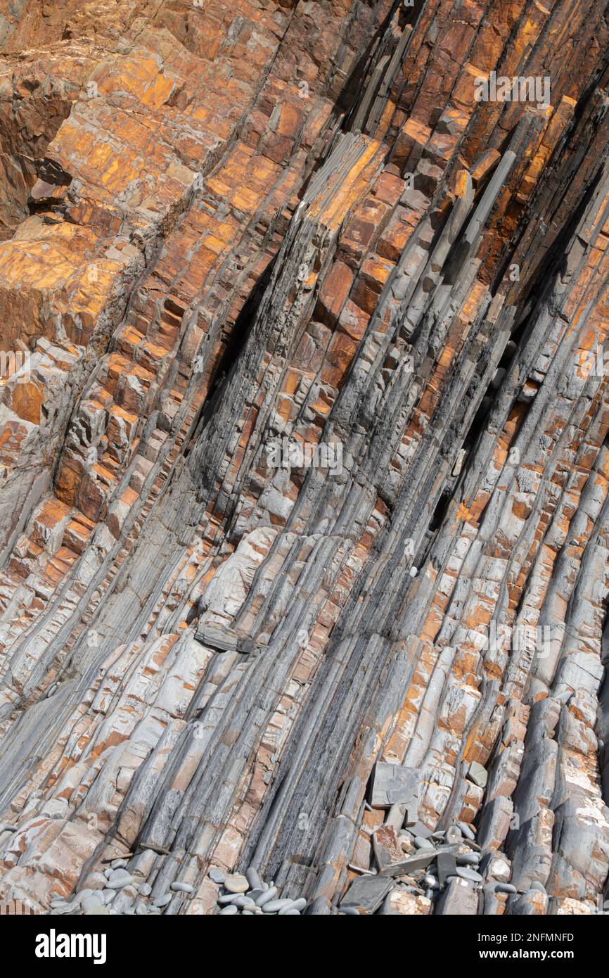 Rock Strata, Sandymouth Bay, Cornwall, Großbritannien. Niederer Karbonus, Bude-Sandsteine und Silsteine. Stockfoto