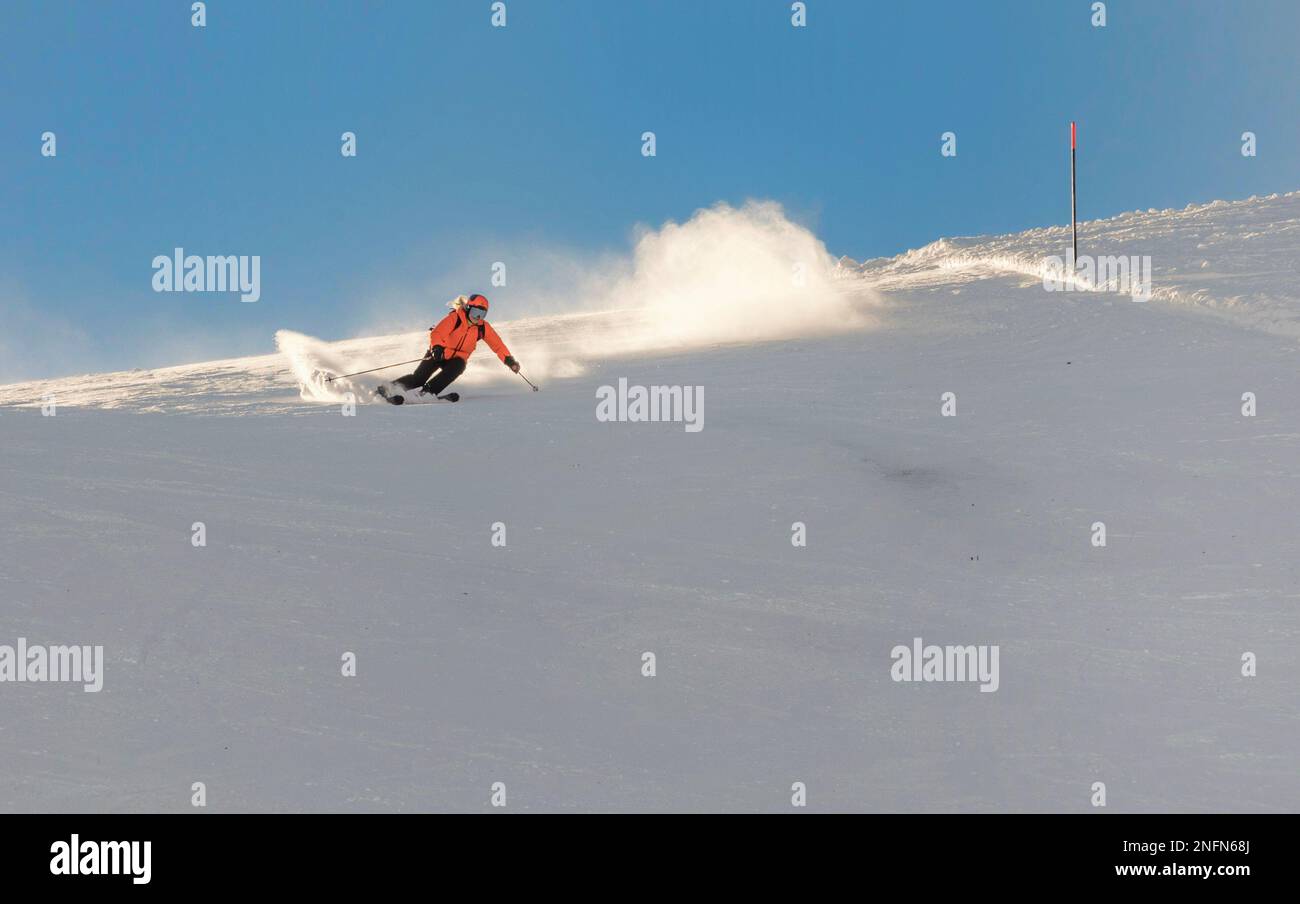 Eine junge Skifahrerin in einer orangefarbenen Jacke dreht sich auf der Piste in die Schnitzerbögen. Ein schöner sonniger Tag in den Bergen, auf der Skipiste, ein Skifahrer in einem OP Stockfoto