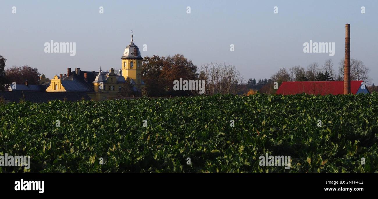 Ländliche Landschaft mit einem Palast mit einer Kuppel und einer alten Fabrik - Nordwestpolen Stockfoto