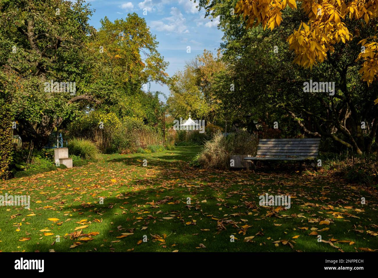 Herbst im District Teaching Garden Stockfoto