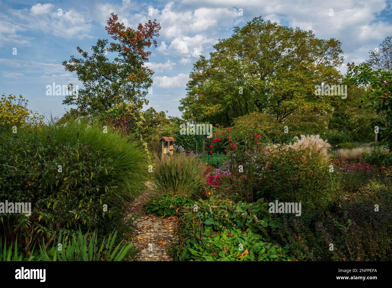 Herbst im District Teaching Garden Stockfoto