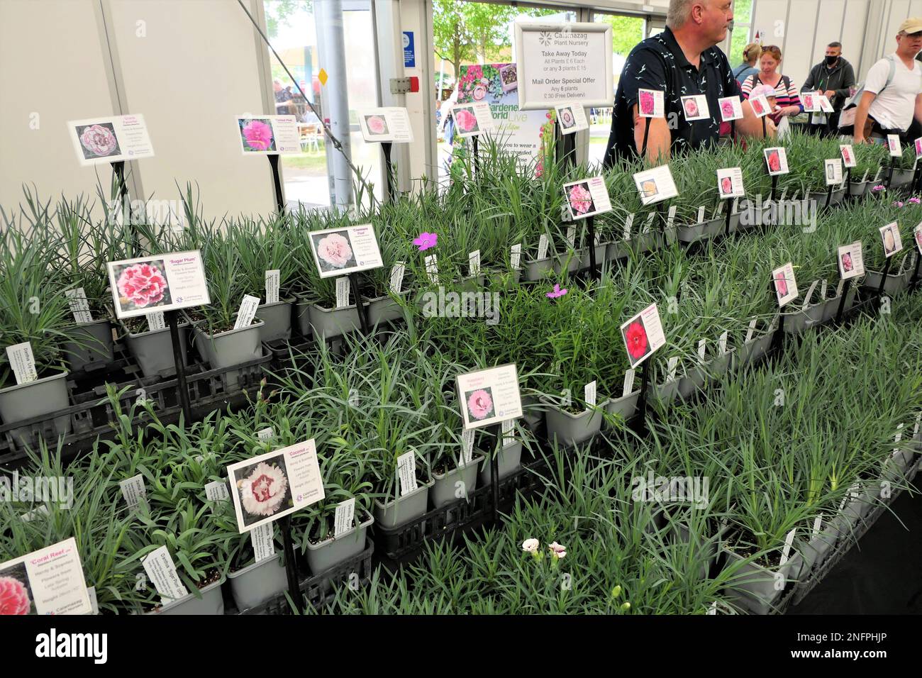 BBC Gardens, Birmingham, Großbritannien, Calamazag Plant Nursery Stockfoto