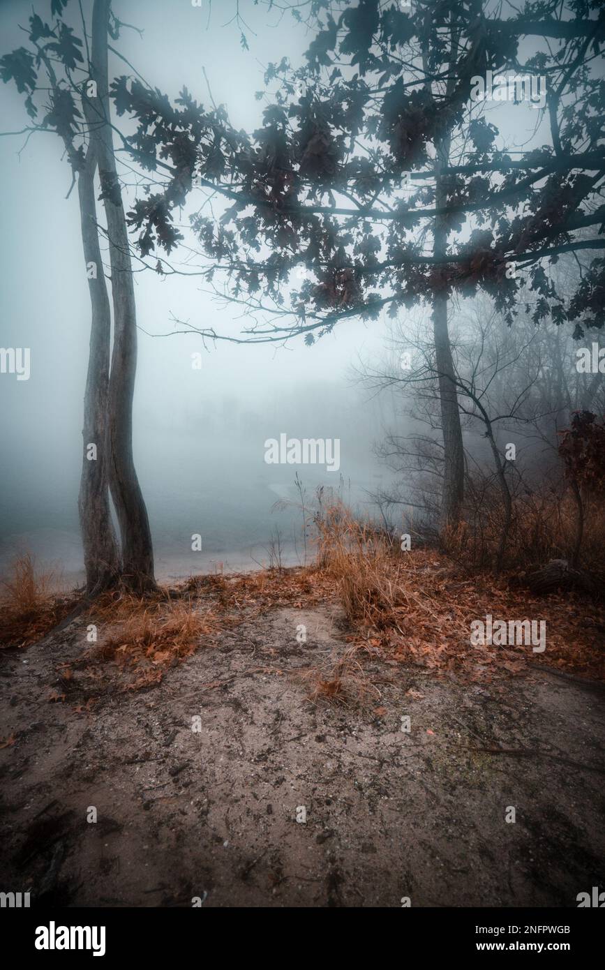 Stimmungsvolle Landschaft mit Nebelbäumen und See Stockfoto