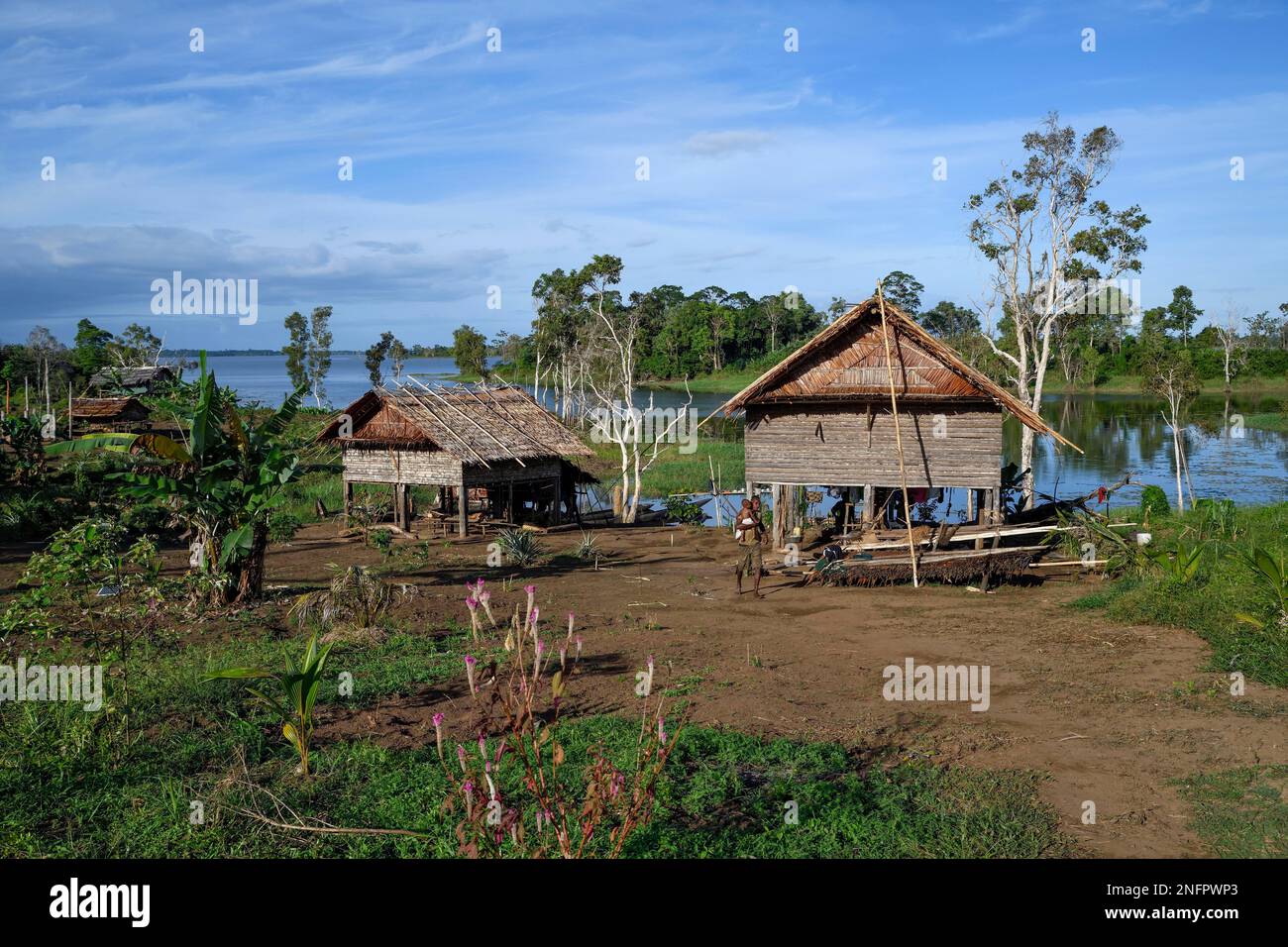 Hütte im Dorf Botokom, Botoa Island, Lake Murray, westliche Provinz, Papua-Neuguinea Stockfoto