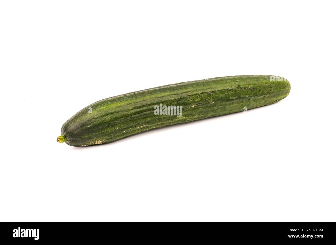 Eine grüne Gurke oder Gurke als gesundes Gemüse, isoliert vor weißem Hintergrund im Studio Stockfoto