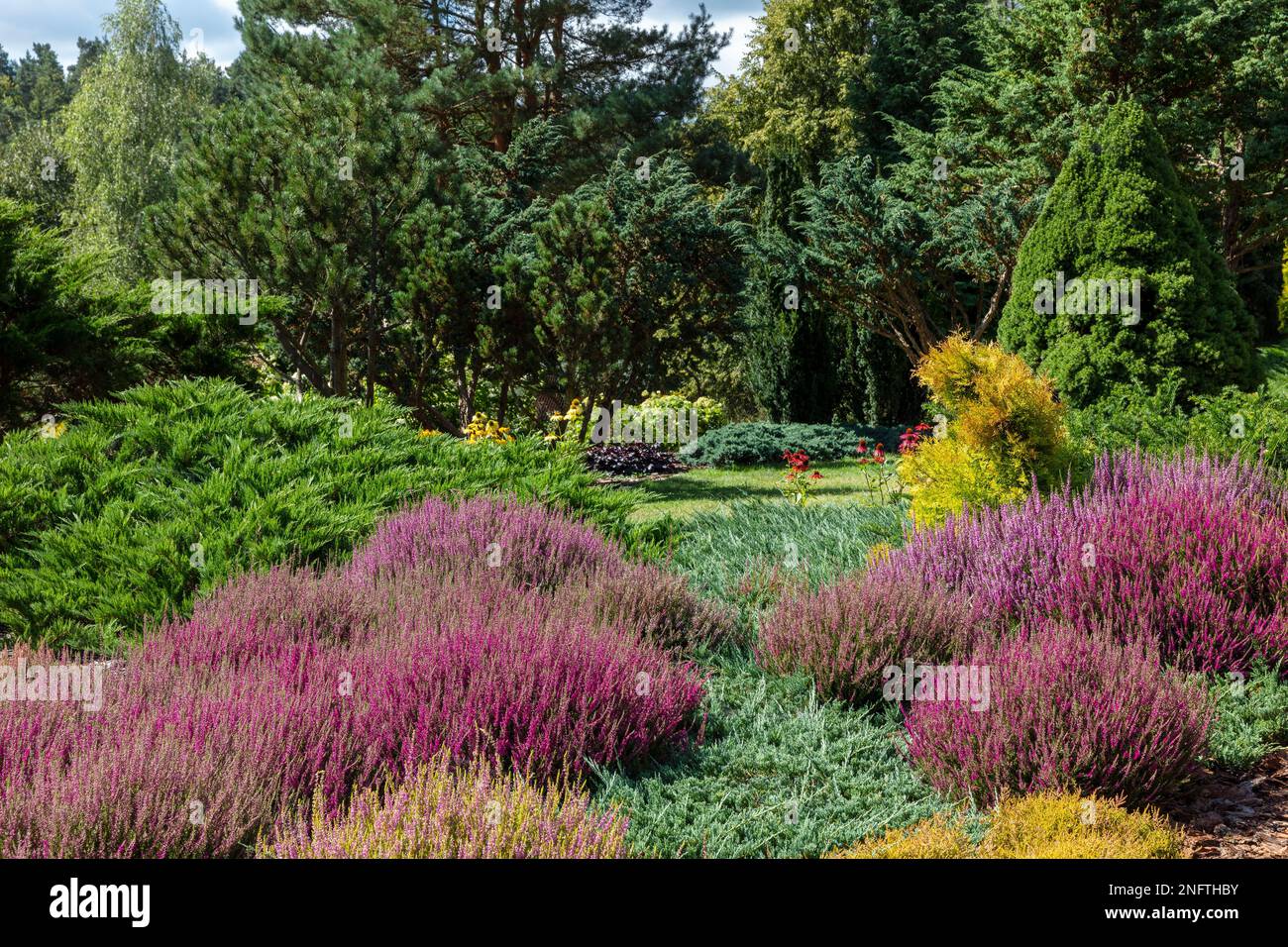 Cottage Gardens, ländlicher Garten, Blumen, Polen Stockfoto