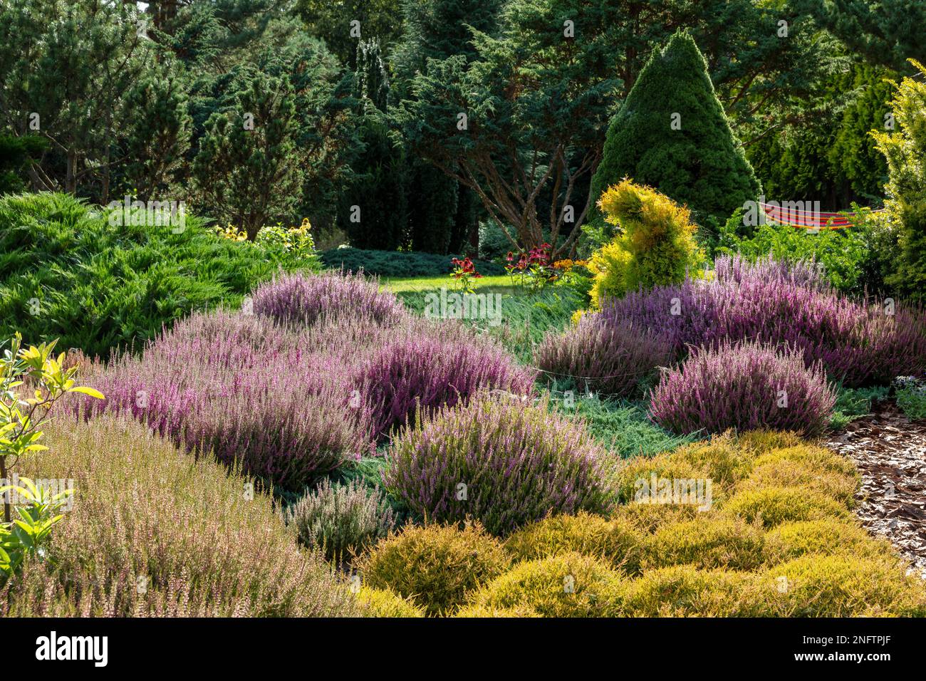 Cottage Gardens, ländlicher Garten, Blumen, Polen Stockfoto
