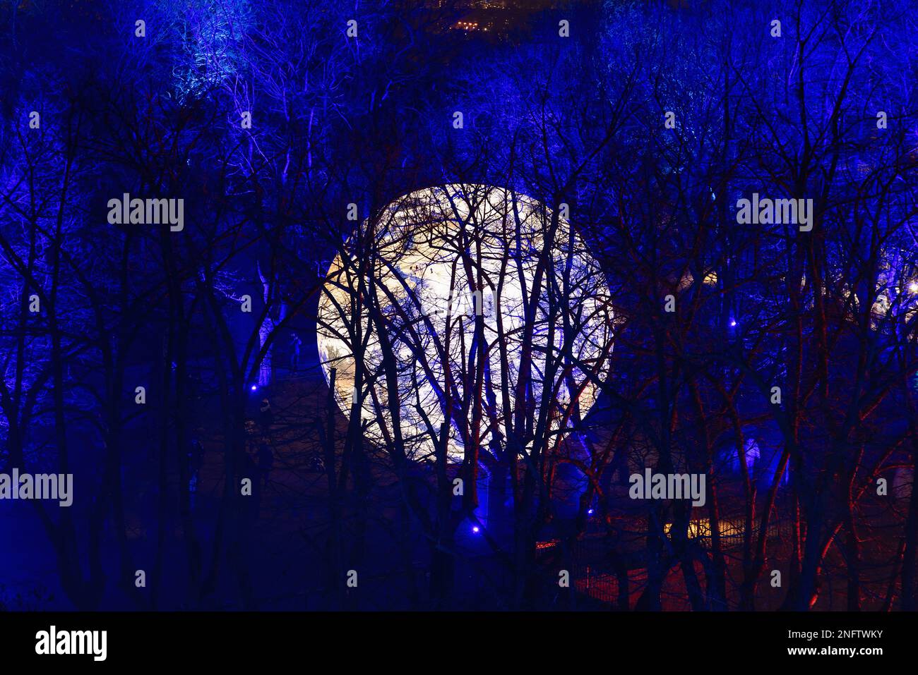 Brescia - Italia. 15. Februar 2023: Light is Life (Festa delle Luci A2A), „Floating Earth“ von Luke Jerram inmitten von bläulichen Zweigen von Bäumen Stockfoto