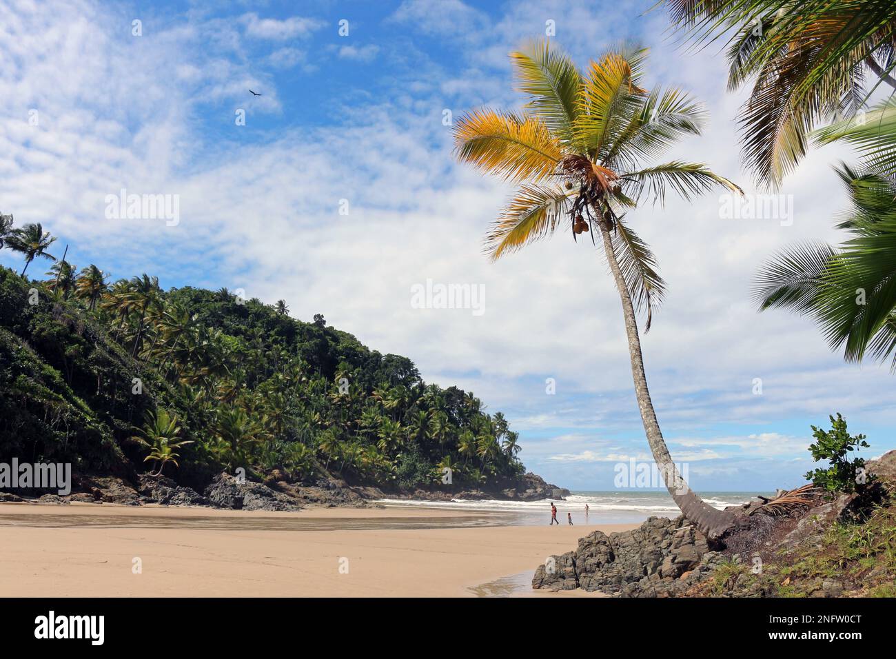 Die fantastische Landschaft des kleinen Strandes von Havaizinho, Itacaré, Bahia. Stockfoto