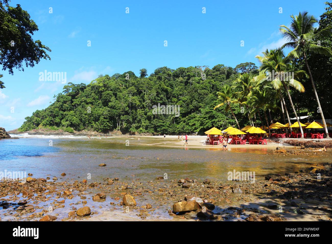 Das Zusammentreffen des Flusses mit dem Meer, das durch den Atlantischen Wald fließt. Engenhoca Beach, Itacaré, Bahia. Ein wunderbarer Ort. Eine einzigartige Schönheit. Stockfoto