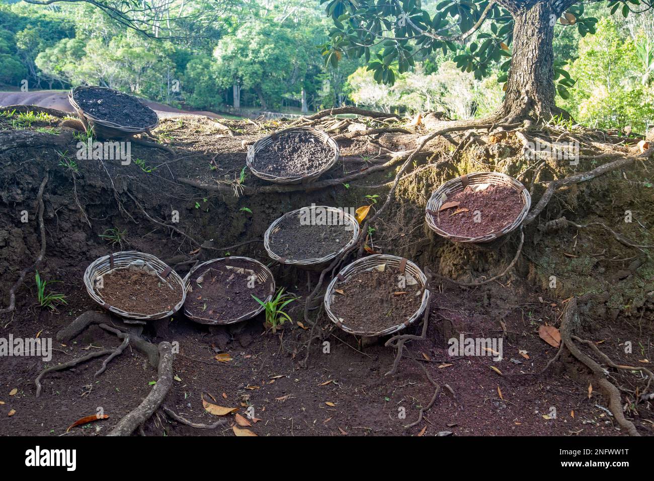 7 farbige Erde in Körben auf Mauritius Stockfoto