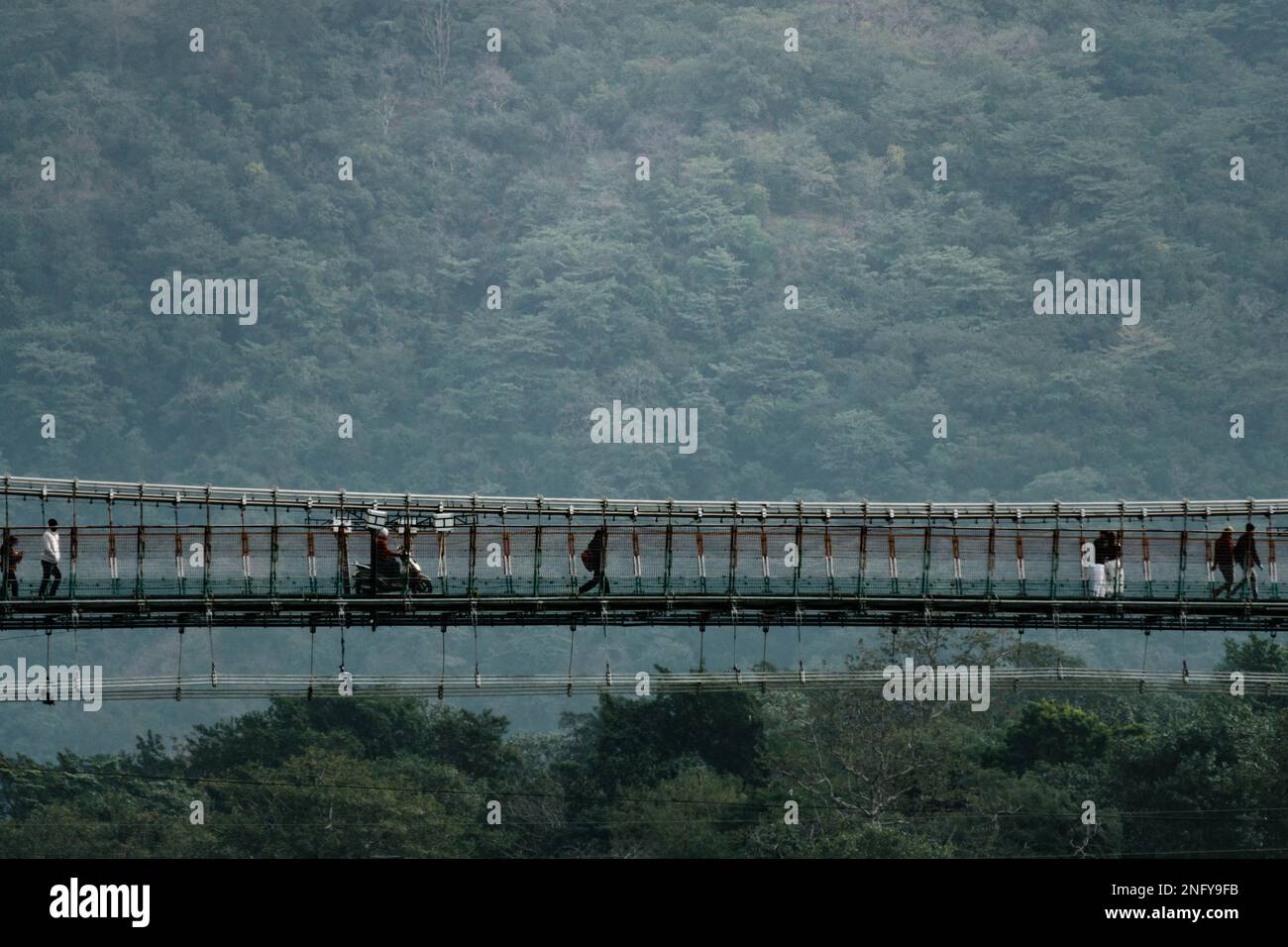 Vielfältige Gruppe von Personen, die über eine Hängebrücke über die Waldkulisse laufen Stockfoto