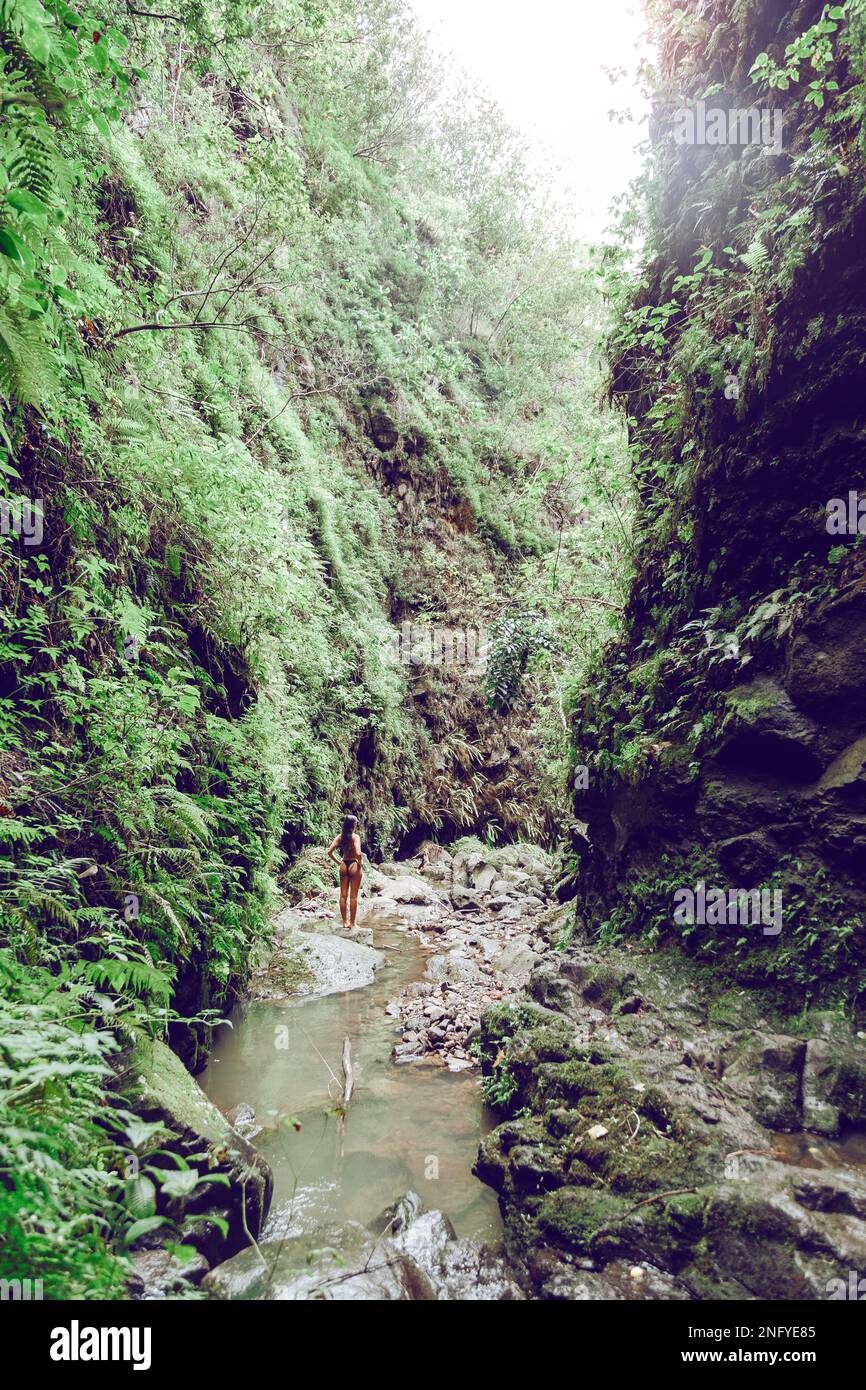 Junge und schöne Frau, die auf einem Felsen steht und die Natur des Tals beobachtet. Reisen und Abenteuer. Die Natur. Maui. Weg nach Hana. Stockfoto