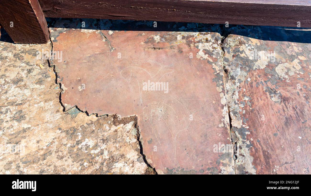 Felszeichnungen von Tieren aus der Antike auf den Steinen hinter dem Zaun im Altai-Gebirge in Sibirien im Sommer. Stockfoto