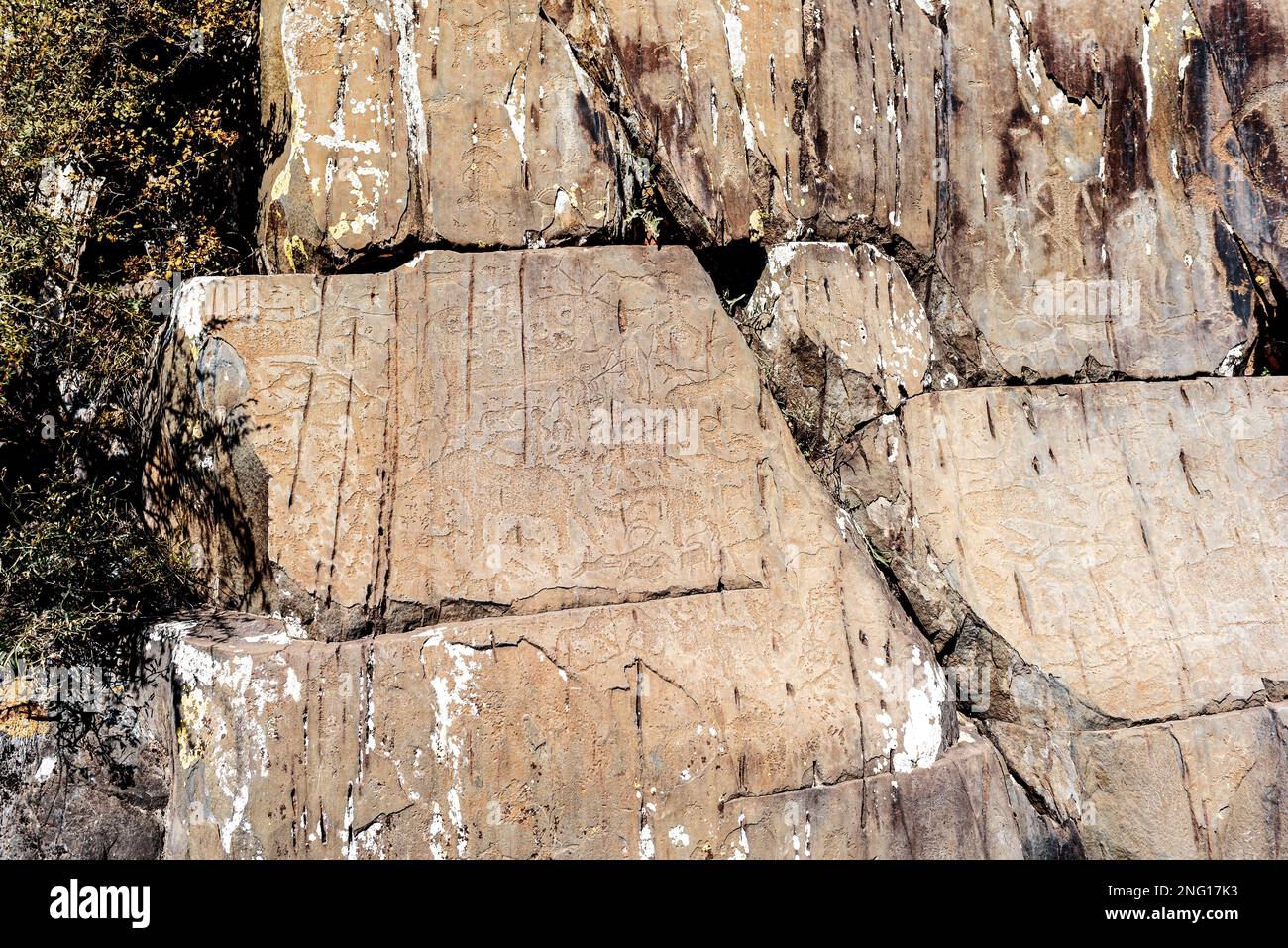 Felszeichnungen von uralten Menschen Petroglyphe Tierkühe und Hirsche mit Hörnern und fremden Menschen Krieger auf den Steinen im Altai-Gebirge in der Ferne Stockfoto