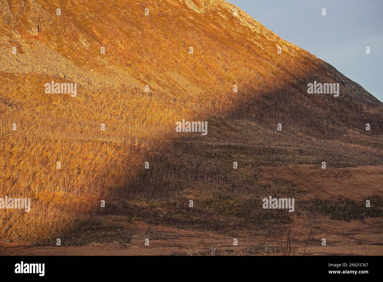 Sommaroy Insel. Norwegen Stockfoto