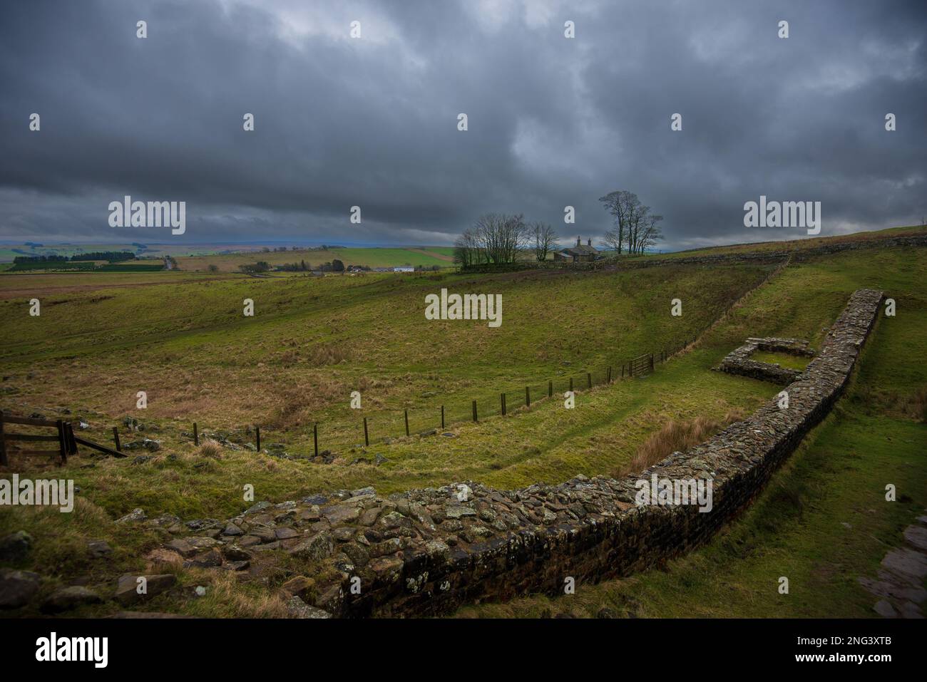 Überreste eines Turms an der Hadrianswand westlich von Milecastle 39, Steel Rigg, Northumberland Stockfoto