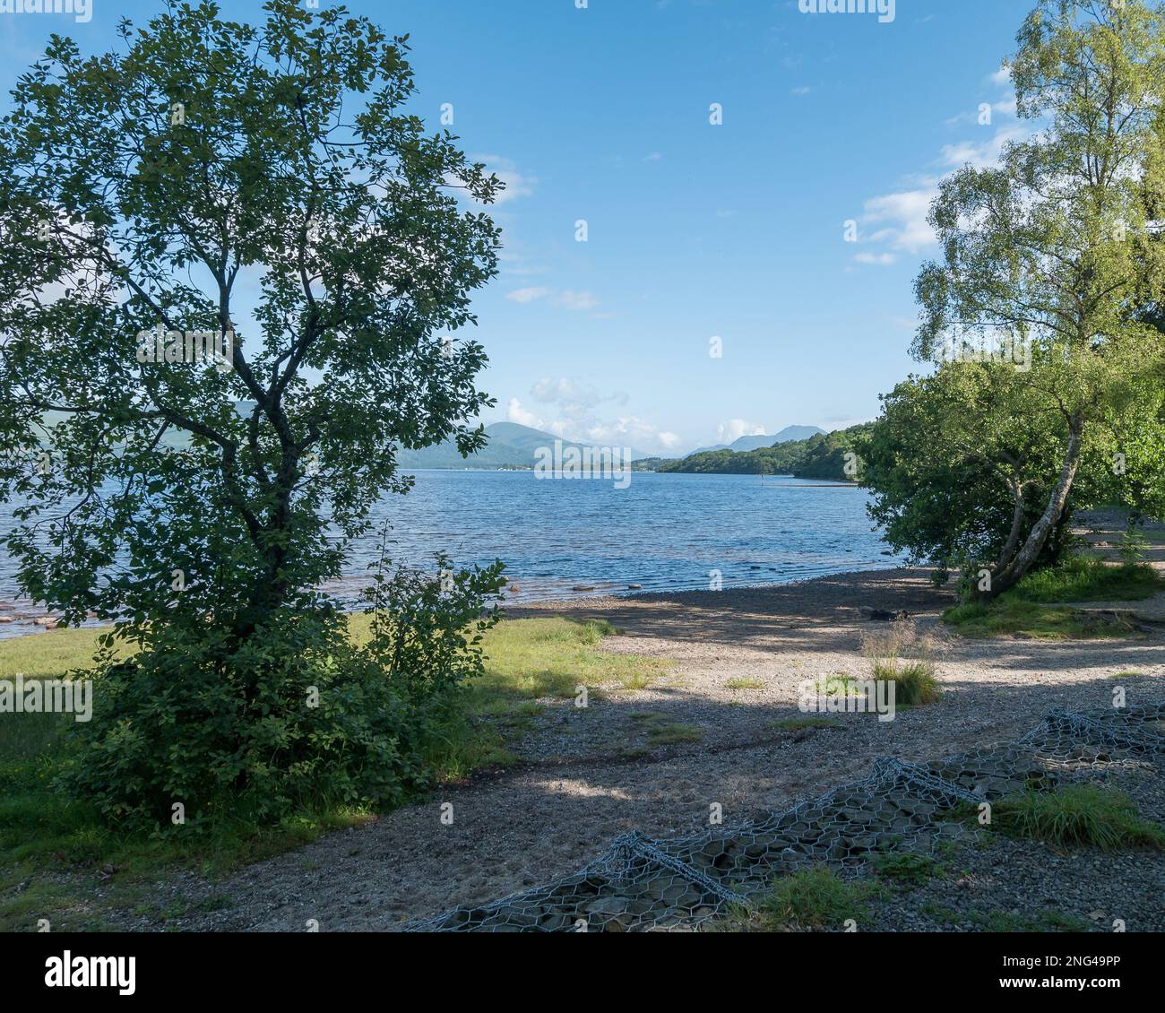 Blick auf Loch Lomond und Ben Lomond vom John Muir Way Wanderweg im Balloch Castle Country Park, West Dunbartonshire, Schottland. Stockfoto