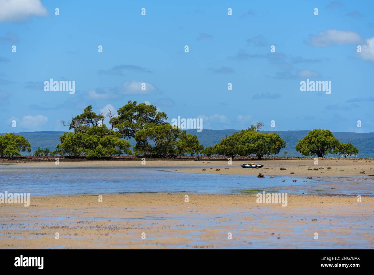 Bei Ebbe sehen Sie Sand und Wasser, Mangrovenbäume und Stradbroke Island in der Ferne. Stockfoto