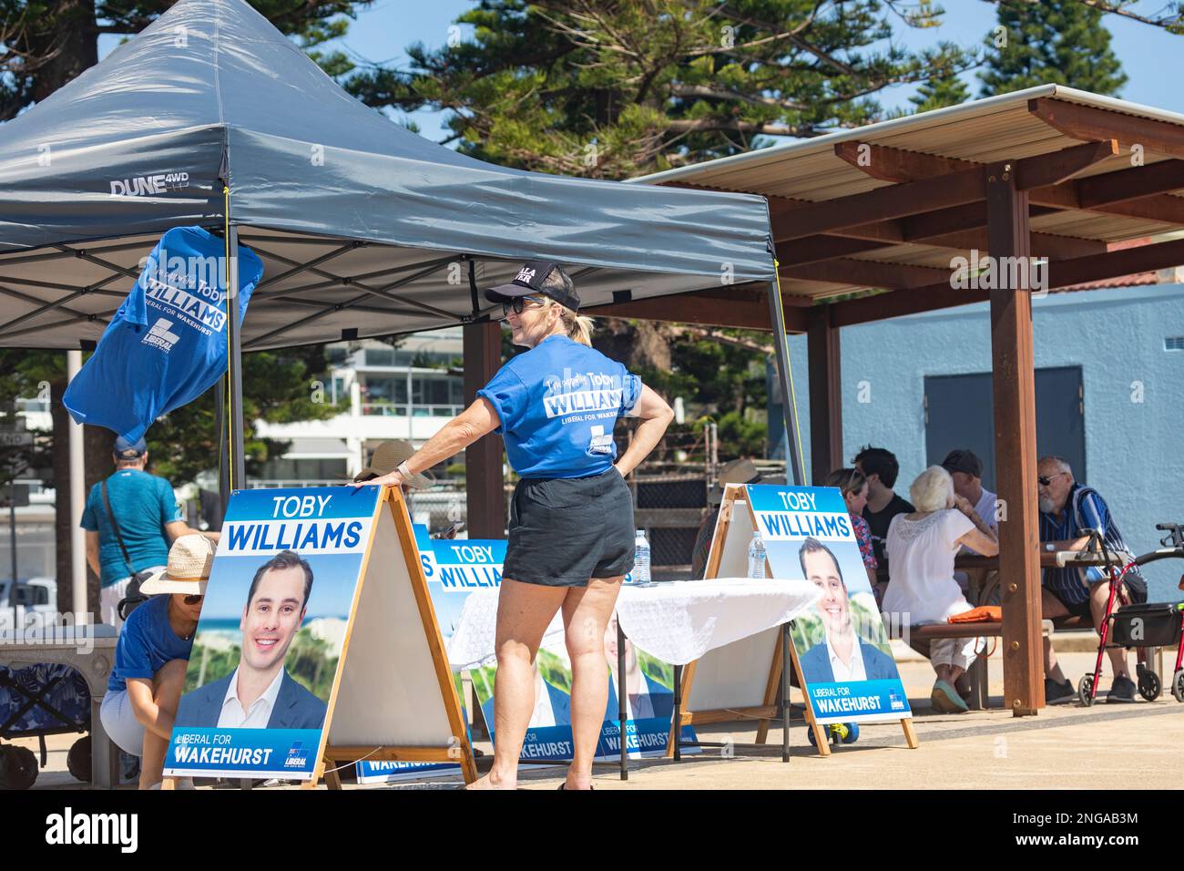 NSW Regierungswahl der liberale Kandidat Toby Williams wird den Wakehurst-Sitz von Brad Hazzard anfechten, der in den Ruhestand geht, Sydney, Australien Stockfoto