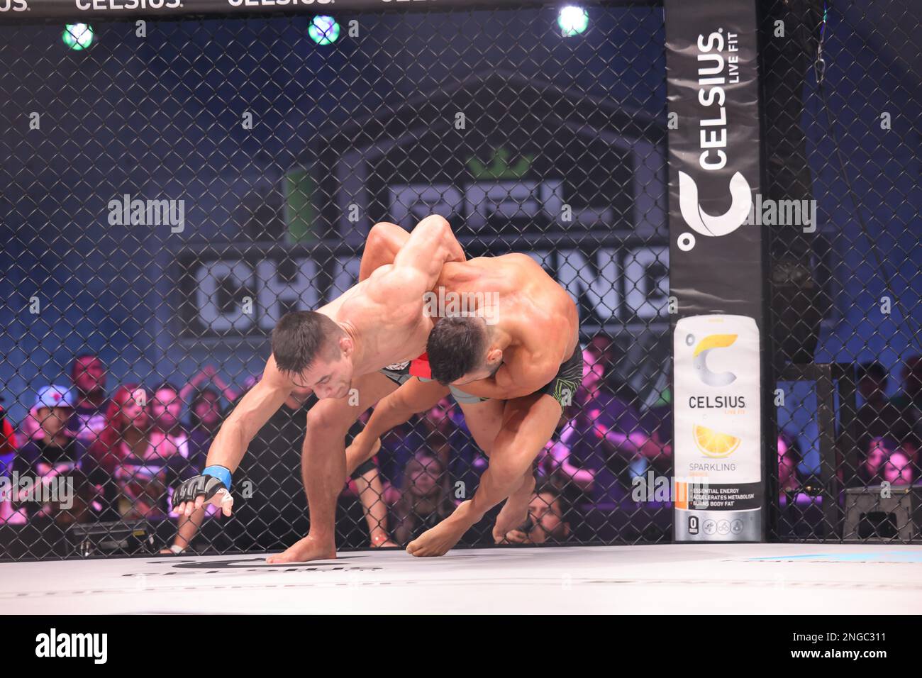 Orlando, Florida, USA. 17. Februar 2023. ORLANDO, Florida - Februar 17 Antonio Caruso und Anthony Romero kämpfen in Woche 4 der PFL Challenger Series am 17. Februar 2023 in den Universal Studios in Orlando, Florida um die Kontrolle. (Kreditbild: © Aaron Litz/PX Imagens via ZUMA Press Wire) NUR REDAKTIONELLE VERWENDUNG! Nicht für den kommerziellen GEBRAUCH! Kredit: ZUMA Press, Inc./Alamy Live News Stockfoto