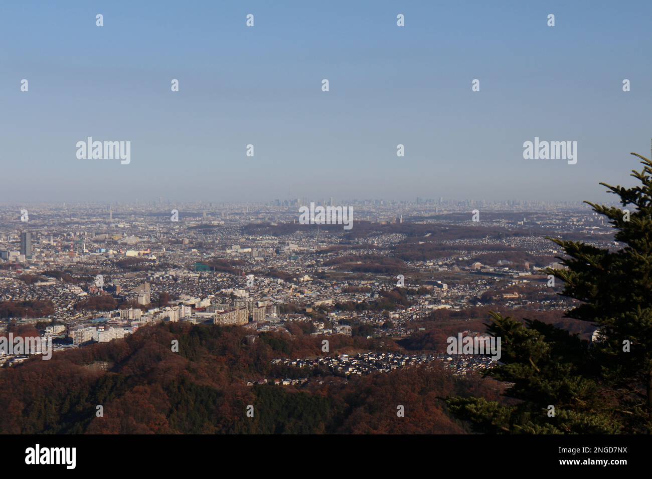 Die Stadt Tokio vom Berg Takao in Japan aus gesehen Stockfoto