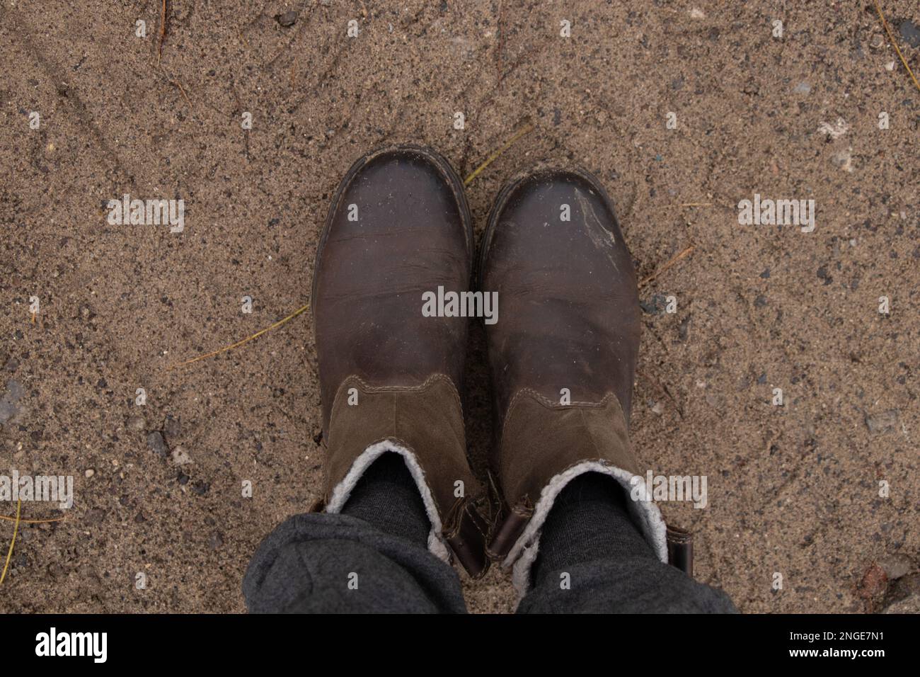 Weibliche Beine in grauen Hosen und braune Stiefel auf dem Boden im Wald am Herbstnachmittag für einen Spaziergang Stockfoto