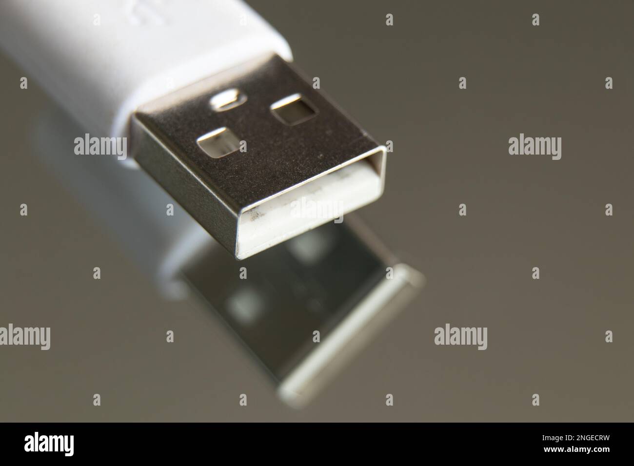 usb-Kabel auf einem isolierten Hintergrund-Makro Stockfoto