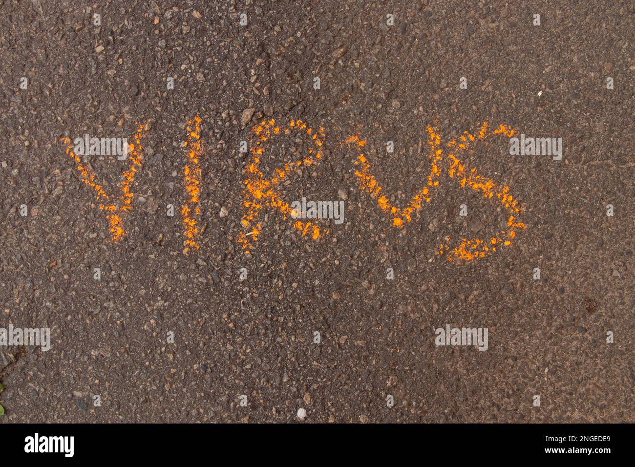 Das Wort Virus wird in englischer Kreide auf Asphalt geschrieben Stockfoto