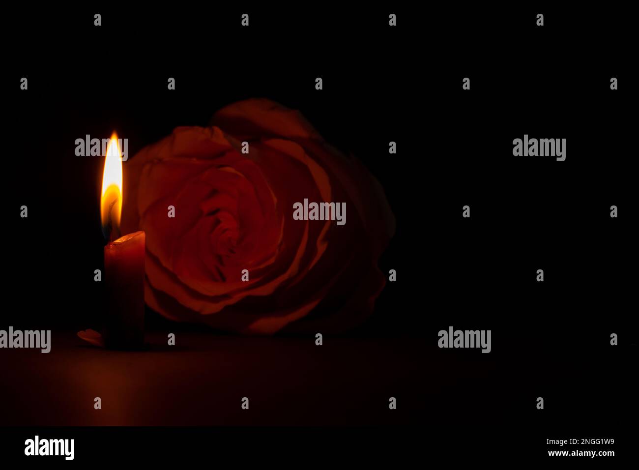 Eine Kerzenflamme und neben einer Rose in der dunklen Nahaufnahme Stockfoto