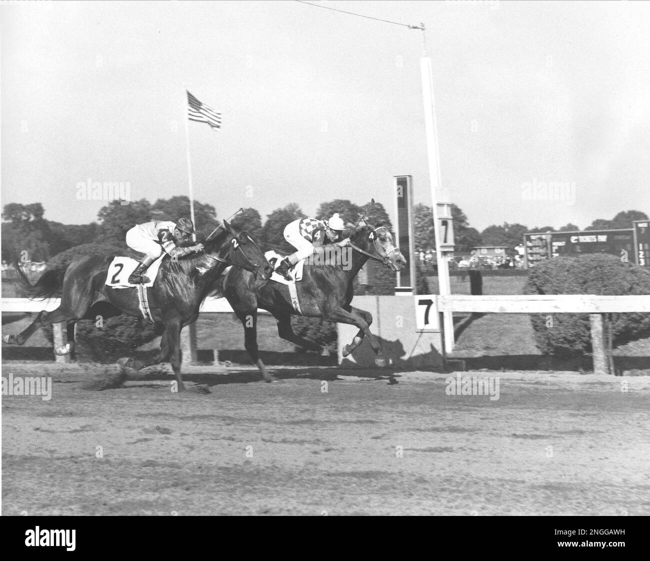 Native Dancer 4 And Jockey Eric Guerin Win The Preakness Stakes In A 