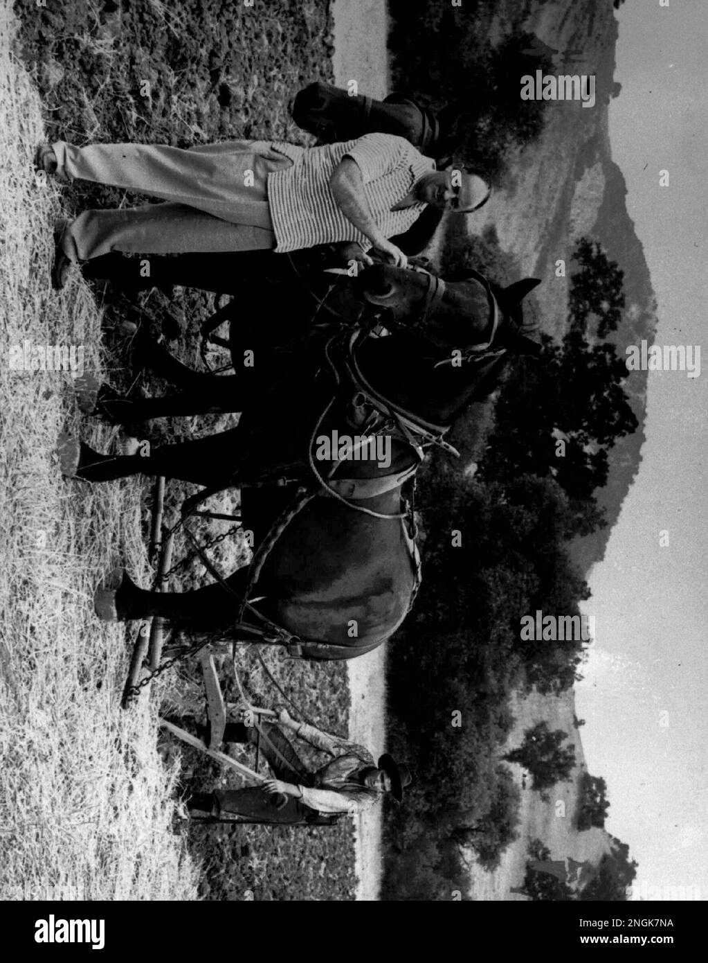 Helping Elvis Presley, right, cut a straight furrow is his business ...