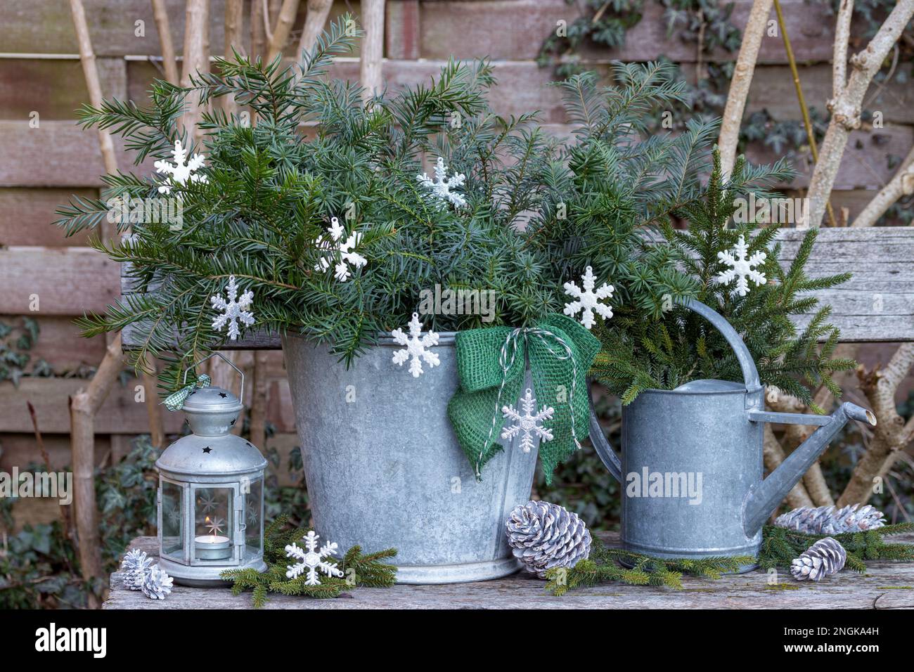 weihnachtsgartengestaltung mit Eibenzweigen in Zinkeimer, weihnachtsbaumschmuck und Laterne im Vintage-Stil Stockfoto