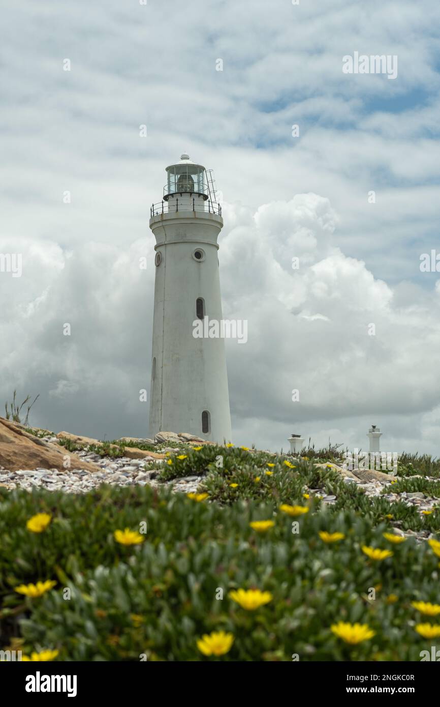 Seal Point ist ein Leuchtturm an der Cape St. Francis, Südafrika, erste Lichtung am 4. Juli 1878. Stockfoto