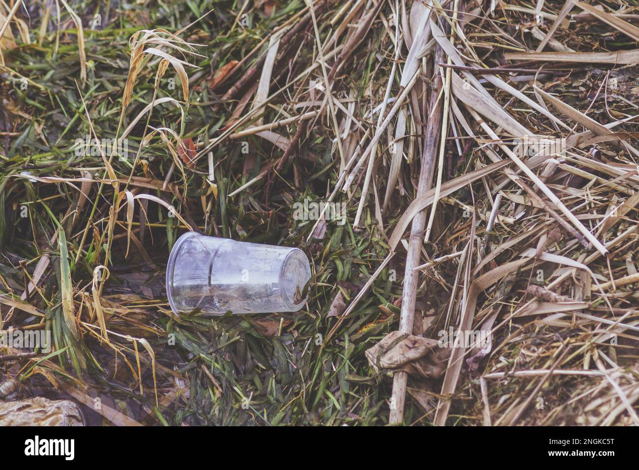 Draufsicht eines Kunststoffglases links auf dem Boden. Umweltfragen, Bodenverschmutzung, ökologische Probleme. Stockfoto